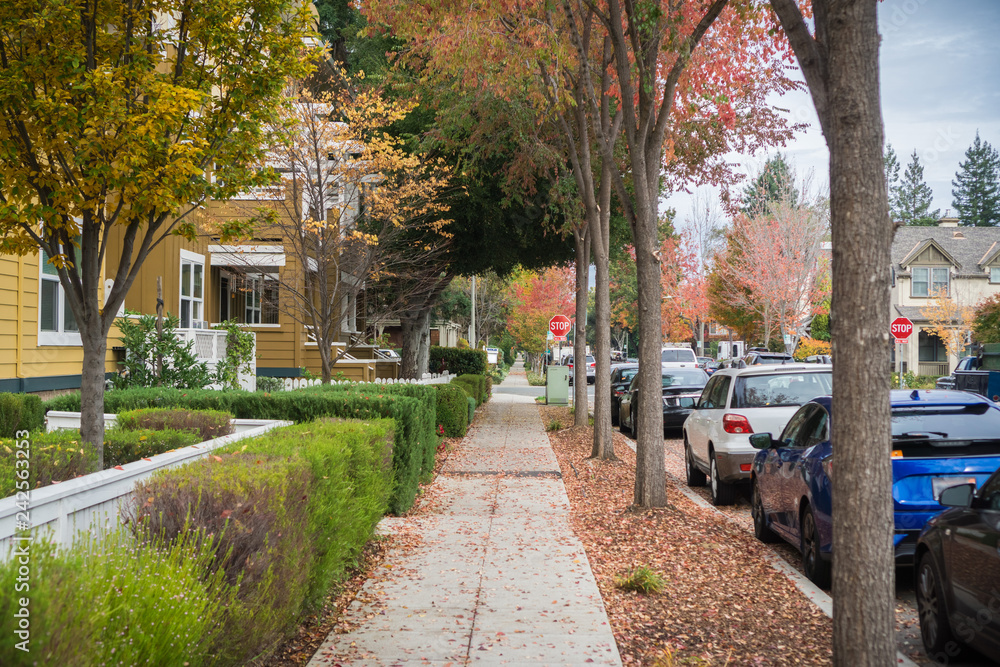 Walking through a residential neighborhood on a cloudy autumn day; colorful fallen leaves on the ground; Palo Alto, San Francisco bay area, California - obrazy, fototapety, plakaty 