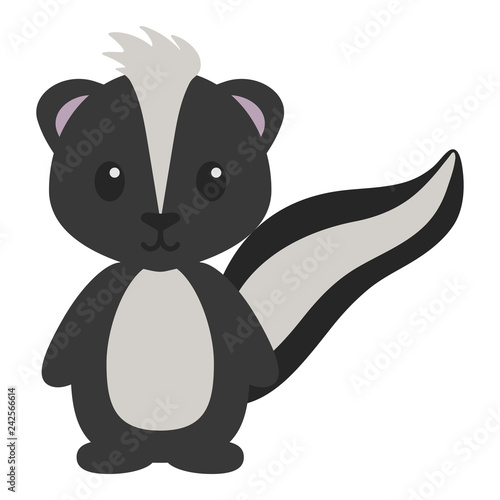 Woodland Skunk Illustration - Cute skunk isolated on white background