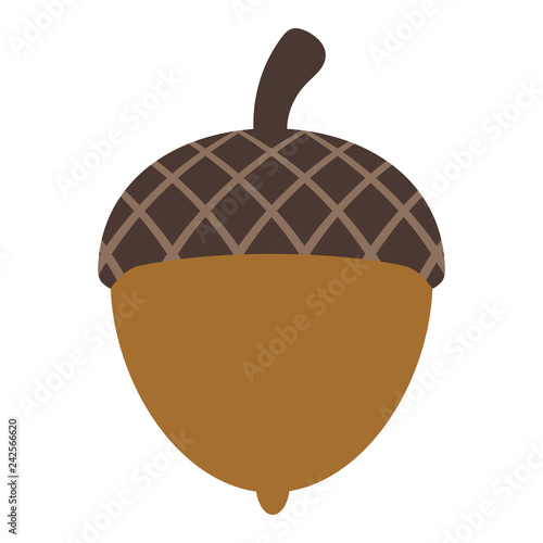 Brown Acorn Illustration - Simple acorn isolated on white background