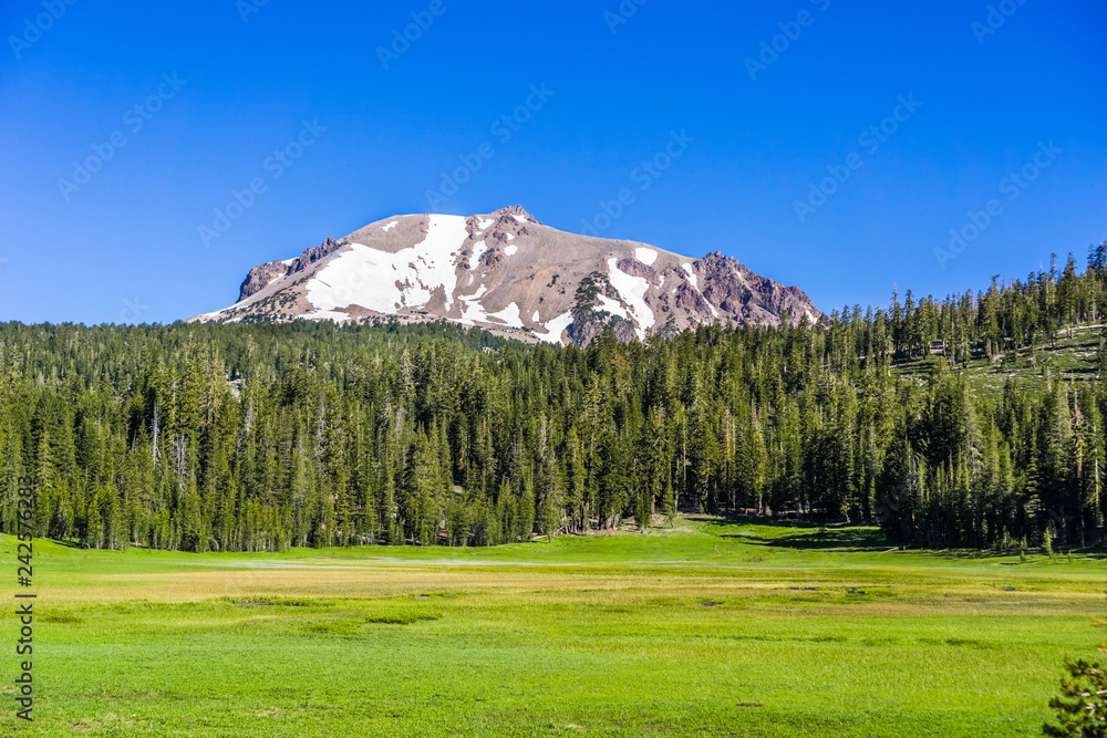 Lassen peak visible behind a lush green meadow and a pine forest, Lassen Volcanic National Park, California