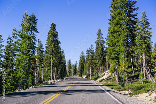 Konstfotografi Travelling on a winding road through the evergreen forests of Lassen Volcanic Na