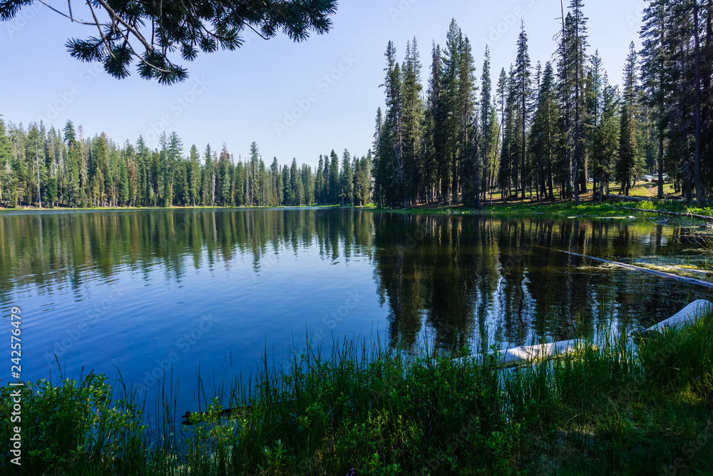 Coniferous trees forest reflected in the calm waters of Summit Lake, Lassen Volcanic National Park, Northern California