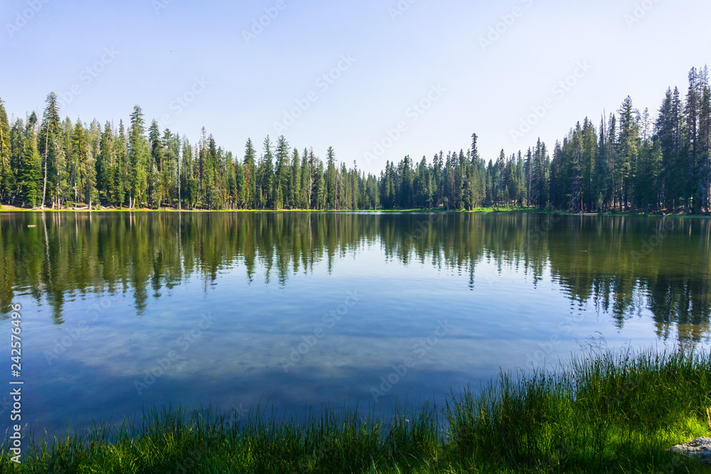 Coniferous trees forest reflected in the calm waters of Summit Lake, Lassen Volcanic National Park, Northern California