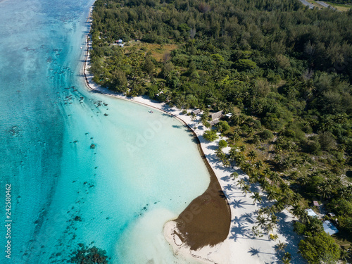 Luxury overwater villas with coconut palm trees, blue lagoon, white sandy beach at Bora Bora island, Tahiti, French Polynesia photo