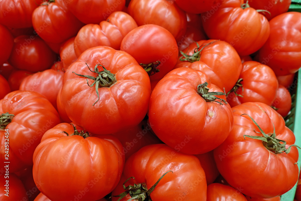 many red large tomatoes on the counter in the market many red large tomatoes on the counter in the market