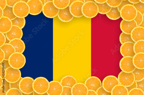 Chad flag  in fresh citrus fruit slices frame photo