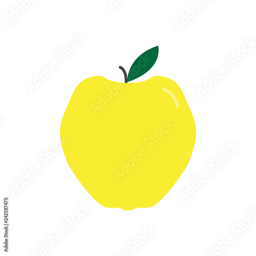 quince flat icon. colored vector design illustration