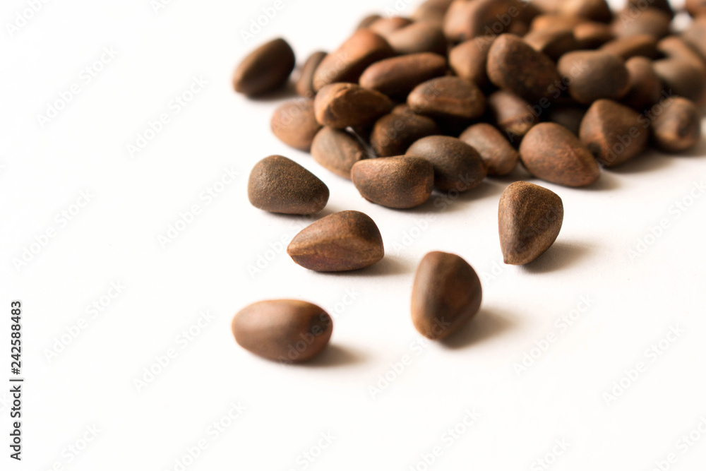 Cedar nut. Isolated on white background. Selective focus Cedar nut. Isolated on white background. Selective focus