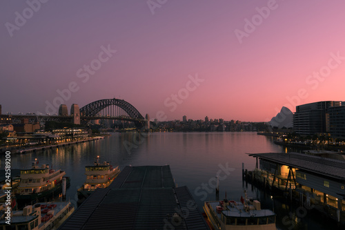 pink dawn on sydney harbour © Tim