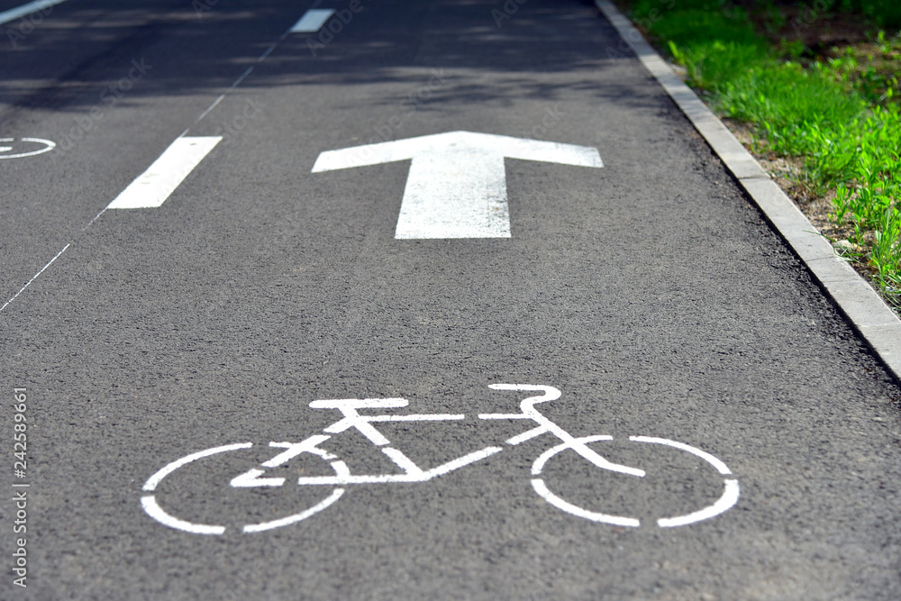 Obraz premium Cyclinng hiking running path road way in the summer park