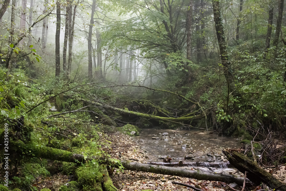 River mountain origin clean ecology water. River mountain origin clean ecology water.