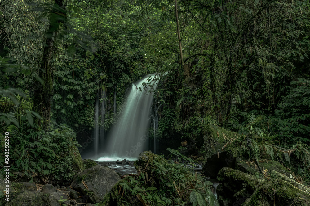 Fototapeta premium Magical Beauty and Serenity Abound in Bali