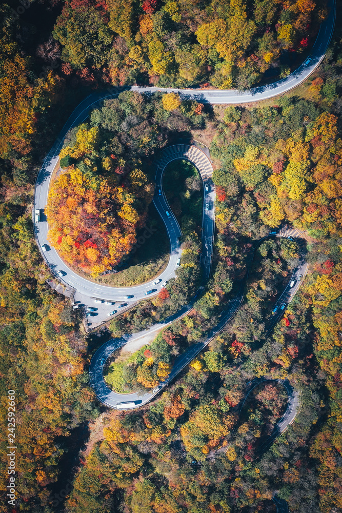 風景 日光いろは坂 Images – Browse 79 Stock Photos, Vectors, and