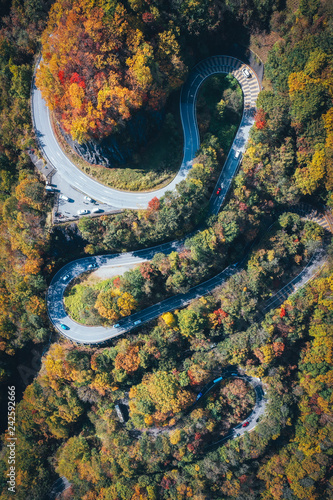 秋の日光いろは坂の紅葉　空撮　Winding road photo