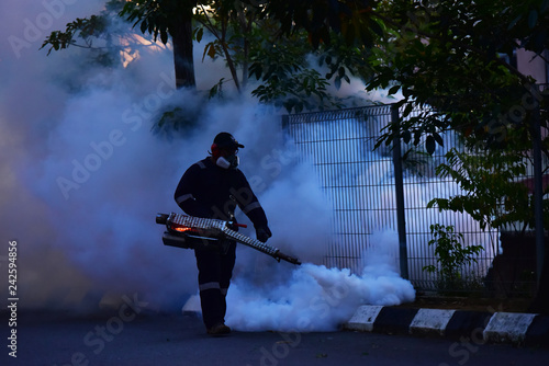 Mosquito Fogging photo