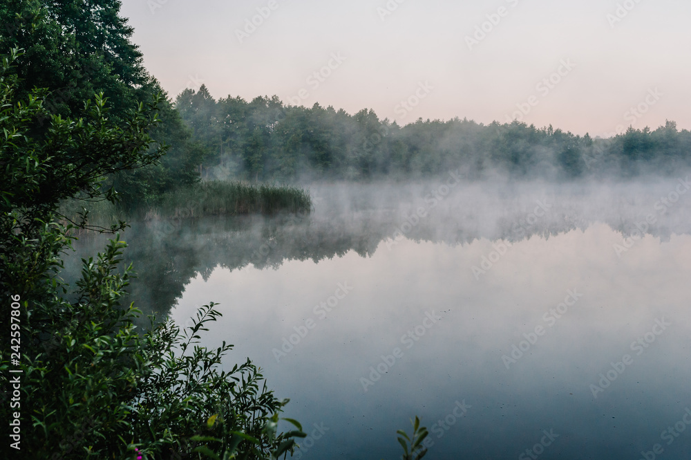 Fog, grass, trees against the backdrop of lakes and nature. Fishing background. Carp fishing. Misty morning. nature. Wild areas. the river. Fog, grass, trees against the backdrop of lakes and nature. Fishing background. Carp fishing. Misty morning. nature. Wild areas. the river.
