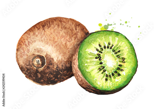 Ripe whole kiwi fruit and half kiwi fruit. Watercolor hand drawn illustration  isolated on white background photo