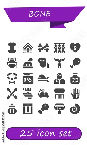 Vector icons pack of 25 filled bone icons