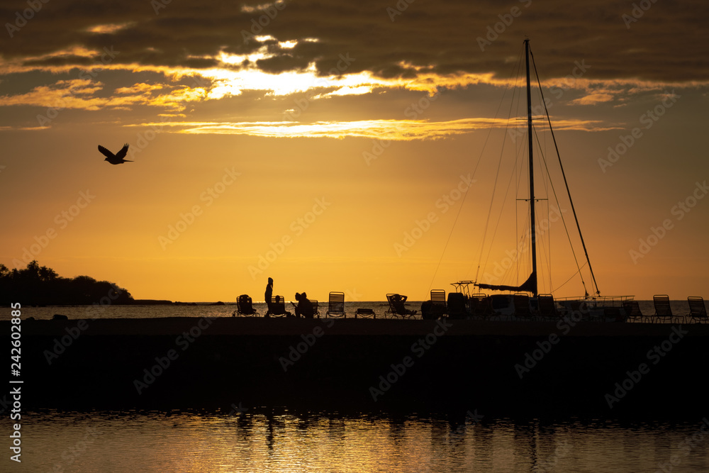 Silhouettes against a golden sky from the setting sun in a tropical setting Silhouettes against a golden sky from the setting sun in a tropical setting