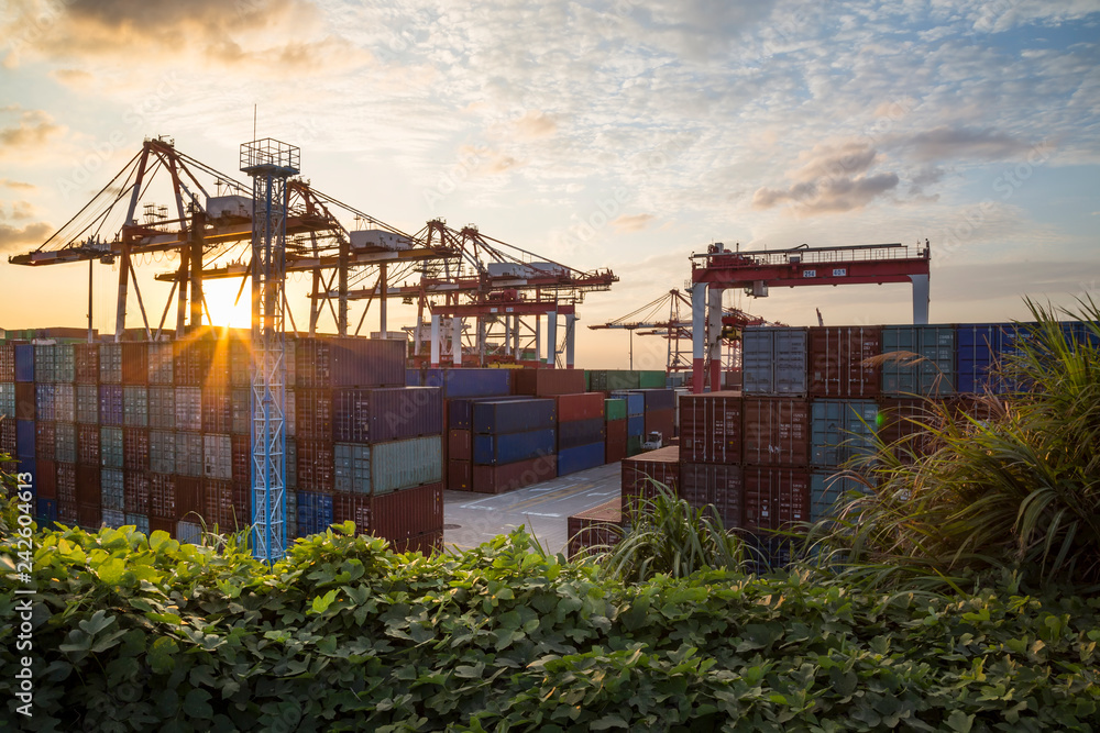 Containers and large cranes in port at sunset