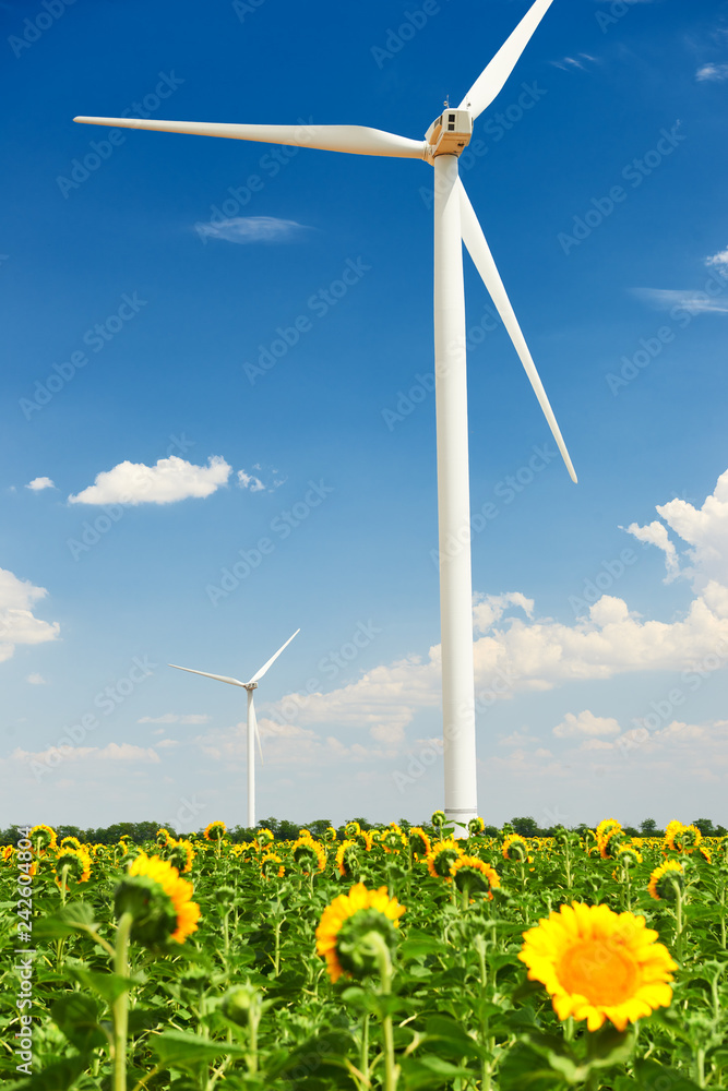 The wind generator in sunflower field. Beautiful landscape with bright cloudy sky. Eco energy concept. The wind generator in sunflower field. Beautiful landscape with bright cloudy sky. Eco energy concept.