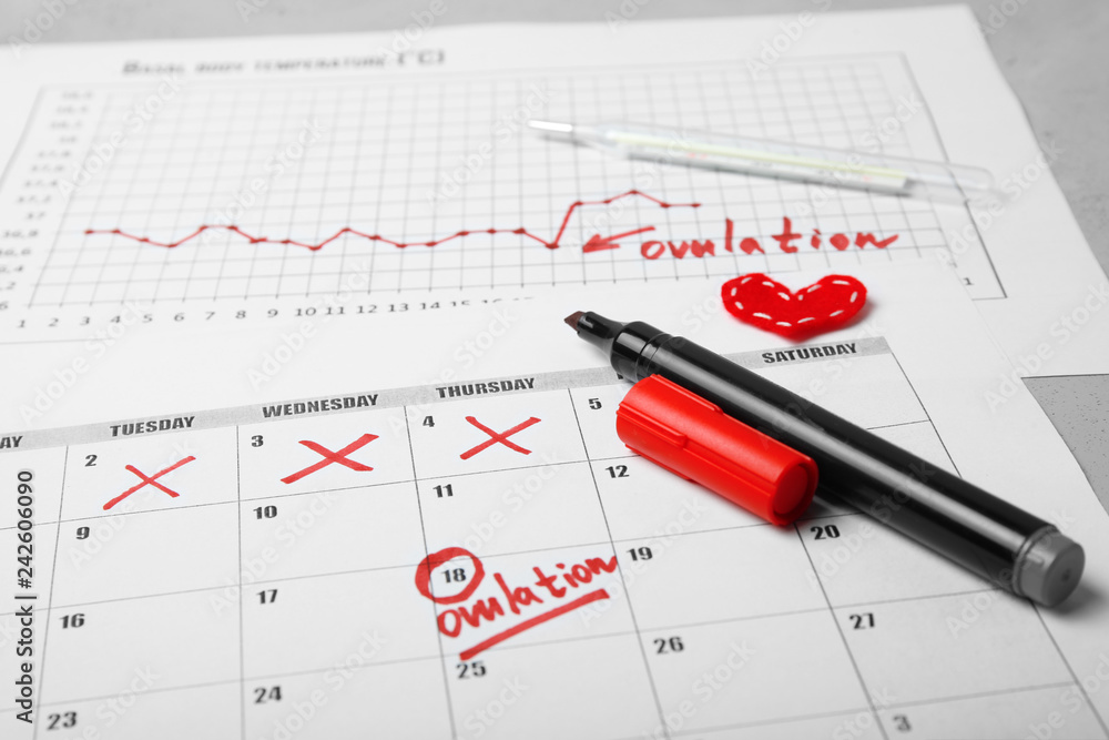 Auspicious and fertile day for conceiving child. Family planning. Ovulation cycle. Auspicious and fertile day for conceiving child. Family planning. Ovulation cycle.