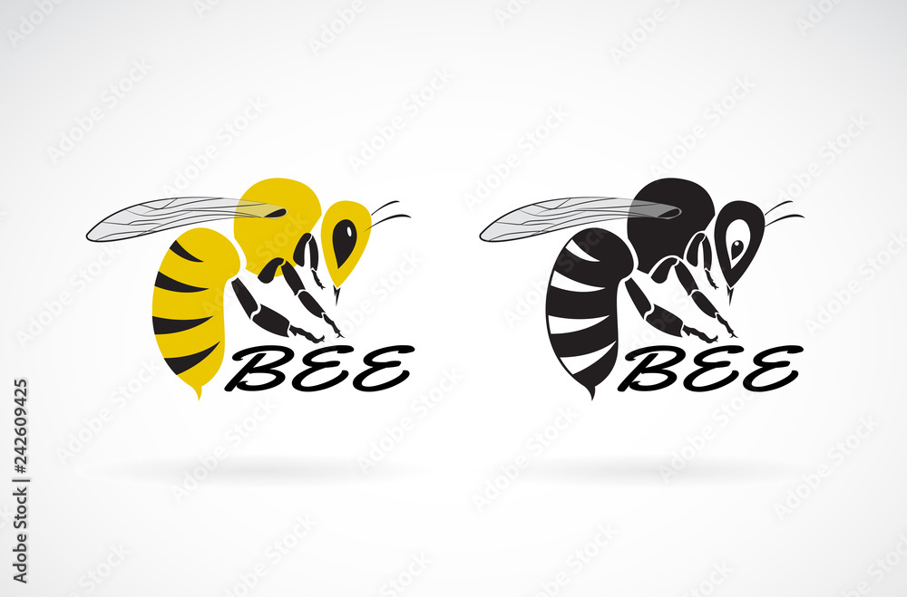 Vector of bee design on white background. Insect.  Animals. Easy editable layered vector illustration.