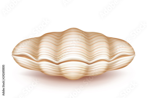 Sea mollusk closed, beige shell 3d realistic vector icon isolated on white background. Original soapbox, decorative case for jewelery of pearls, wedding ring box from natural materials illustration