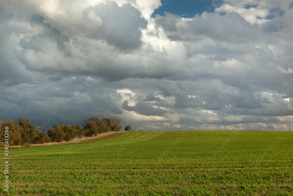 Green field and autumn skies (Western Crimea) Green field and autumn skies (Western Crimea)