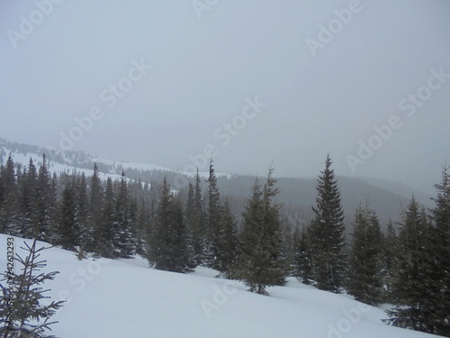 winter mountain landscape © Евгений Евгений