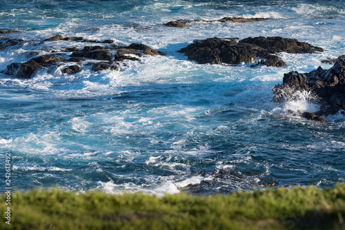 Shot of Ocean-coastal rocky beach and constantly frothing waves with green grassland in the foreground in Phillip Island, Victoria, Australia
