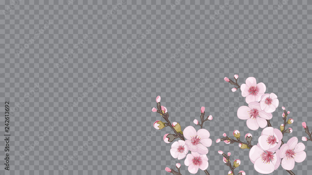 Magenta on transparent background. Handmade background in Chinese style.  Spring frame horizontal of sakura flowers. Theme design textiles, wallpaper,  packaging, printing. Stock Vector | Adobe Stock