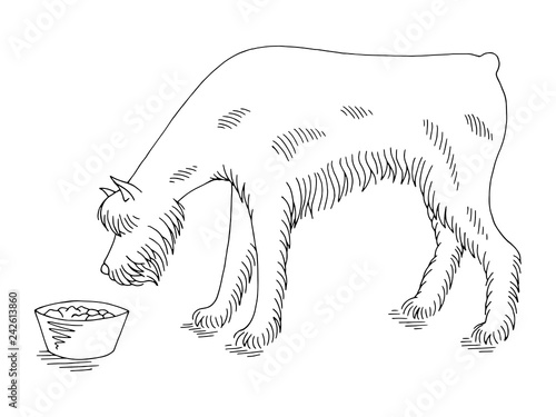Dog schnauzer eating from the bowl graphic black white sketch illustration vector