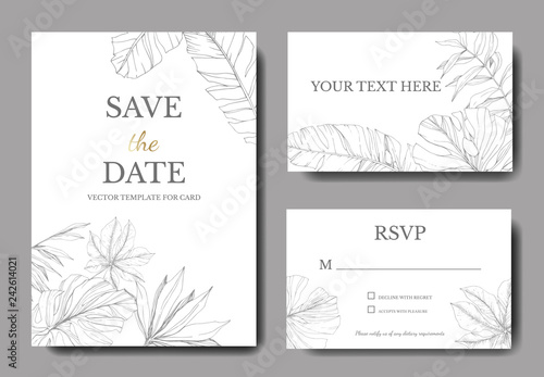 Vector Green leaf plant. Engraved ink art. Palm beach tree leaves. Wedding background card floral decorative border.