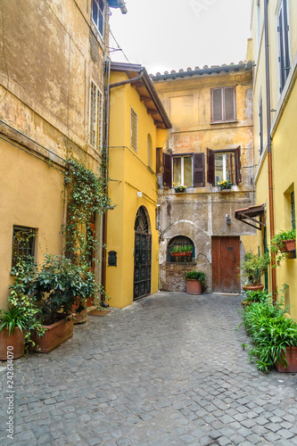 Fototapeta Naklejka Na Ścianę i Meble -  Old street in Trastevere. Rome. Italy