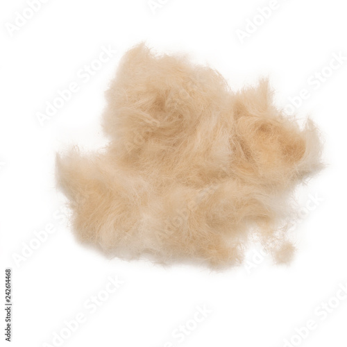 Billede på lærred Wool of an animal on a white isolated background.