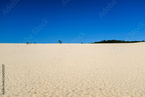 Moreton Island  Sandboard  Australien  2019