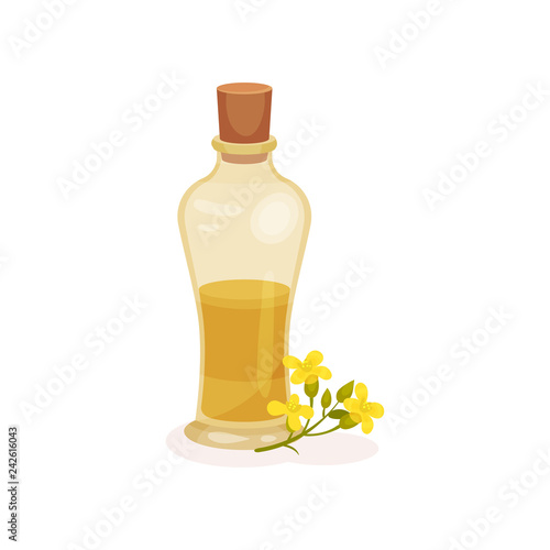Glass bottle of fresh rapeseed oil and small yellow flowers. Natural product. Cooking ingredient. Flat vector icon