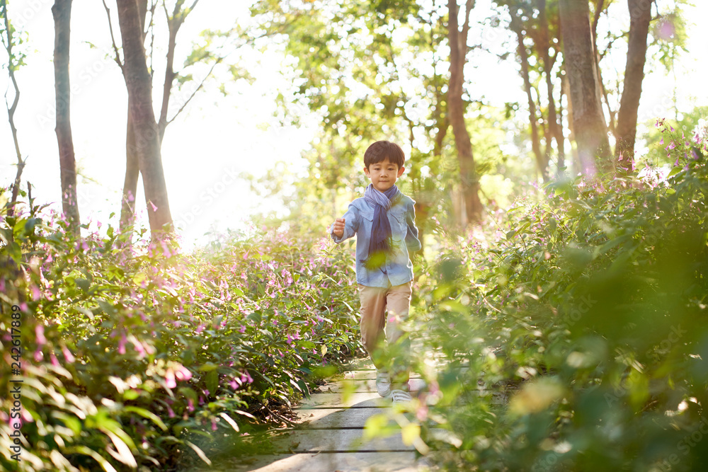 cute little asian boy walking in flower field in the woods