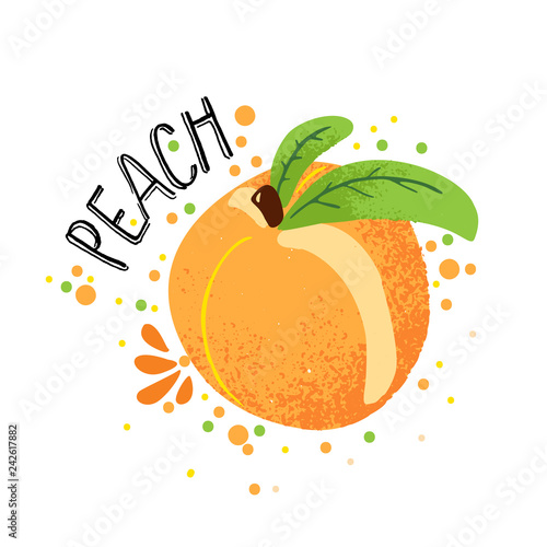 Vector hand draw peach illustration. Orange ripe peaches with juice splash isolated on white background. Textured peach with splashes, juice tropical fruit with word Peach on top. Fresh silhouette