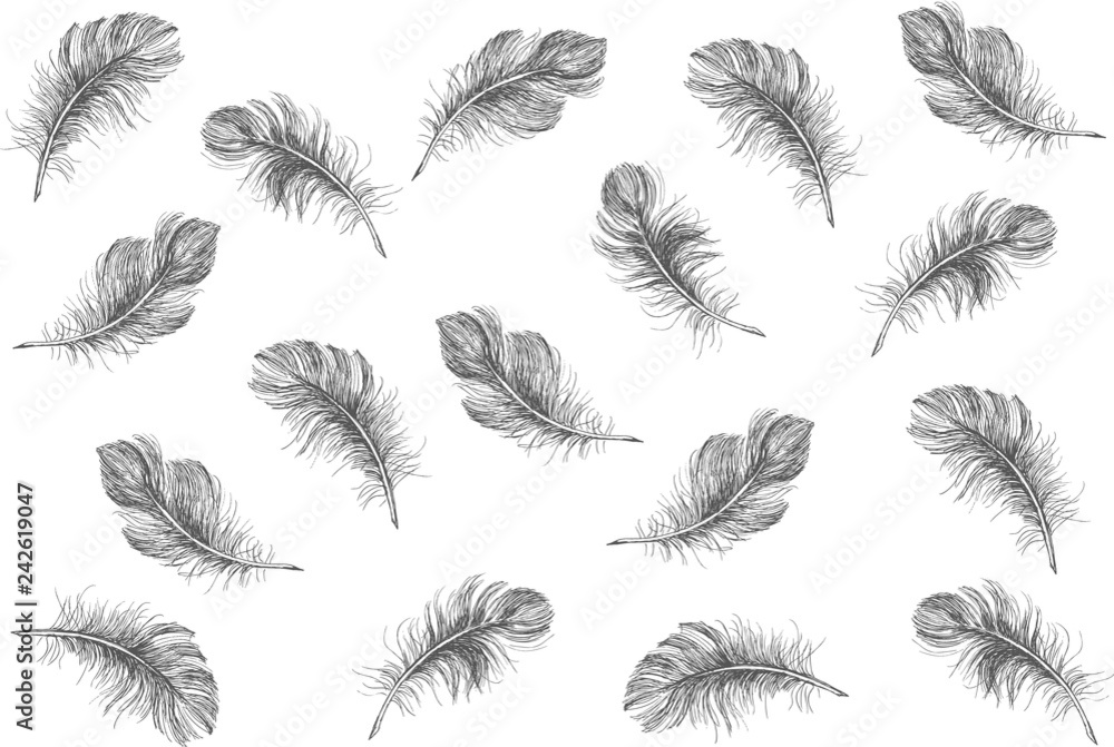 Hand drawn feather on white background Hand drawn feather on white background