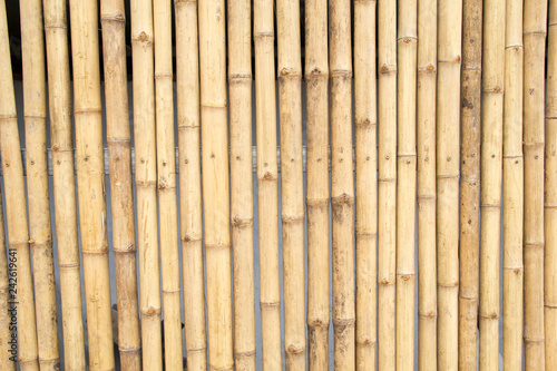 Bamboo Pattern Wall. Bamboo Background