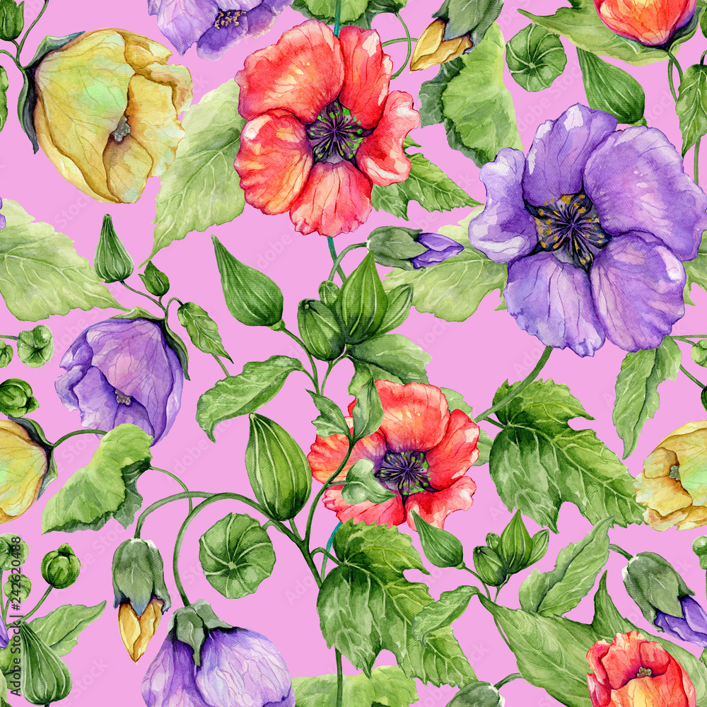 Beautiful abutilon flowers on climbing twigs on pink background. Seamless floral pattern. Watercolor painting. Hand painted illustration. Beautiful abutilon flowers on climbing twigs on pink background. Seamless floral pattern. Watercolor painting. Hand painted illustration.