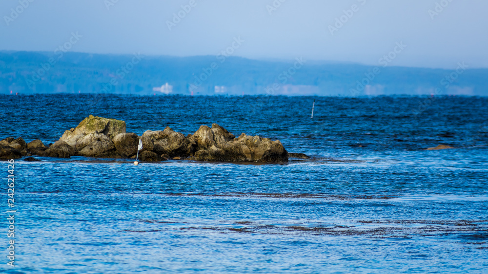 「松島」の海は透明度も抜群で、磯遊びに最適な場所です。