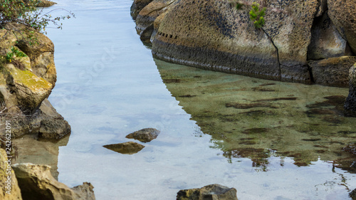 「松島」の海は透明度も抜群で、磯遊びに最適な場所です。