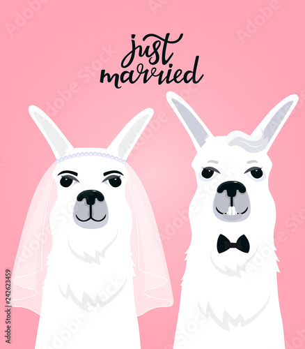 Couple llamas newlyweds. Bride in veil. The groom in a bow tie. Hand lettering just married