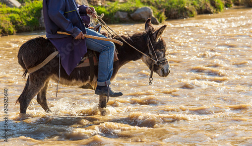 The man on the donkey crossing the river