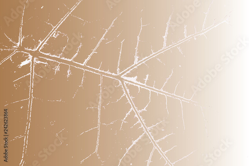 vein of the leafs as background vector