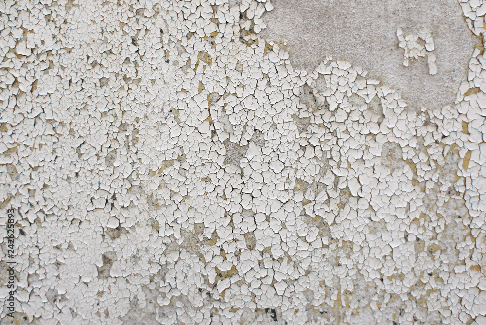 Close Up Dirty Paintings peeling off on Wall Close Up Dirty Paintings peeling off on Wall