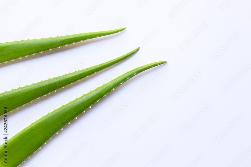 Aloe vera fresh leaves on white Aloe vera fresh leaves on white